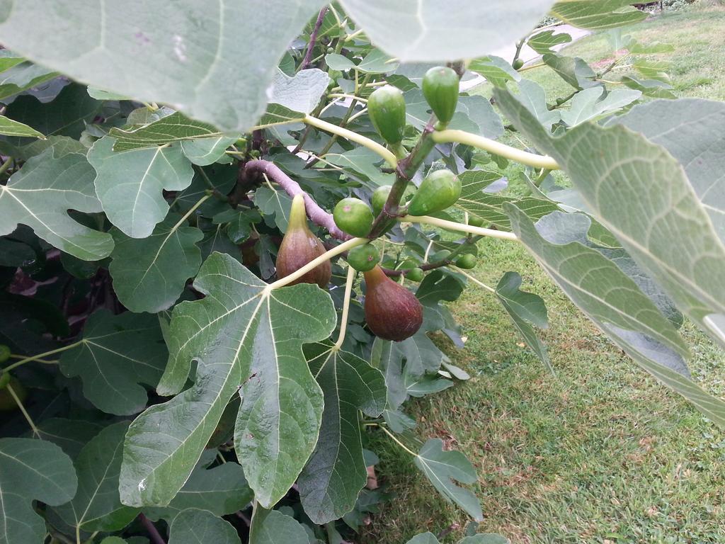 التر B&B Lomolen المظهر الخارجي الصورة